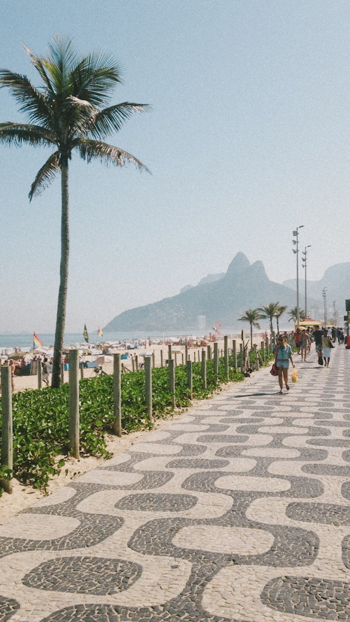 Praia do Rio de Janeiro, palmeiras e montanhas ao fundo